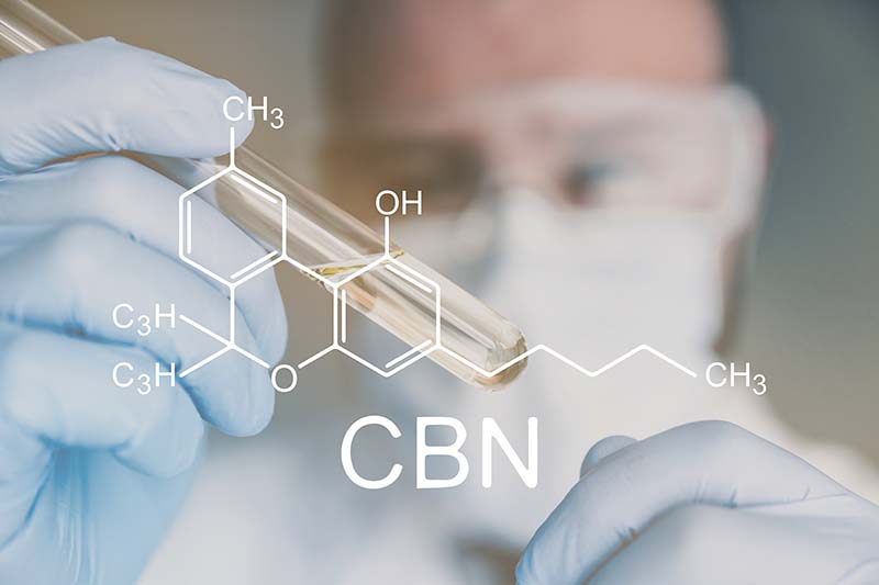 cannabinol cbn